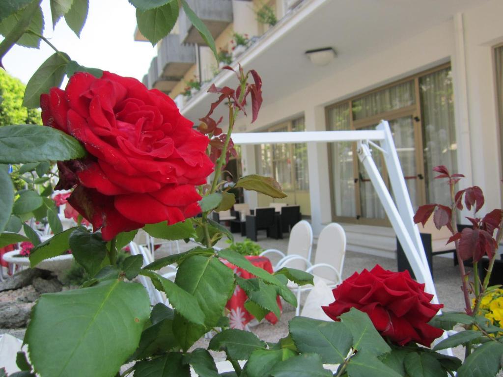 Garden Hotel 3*