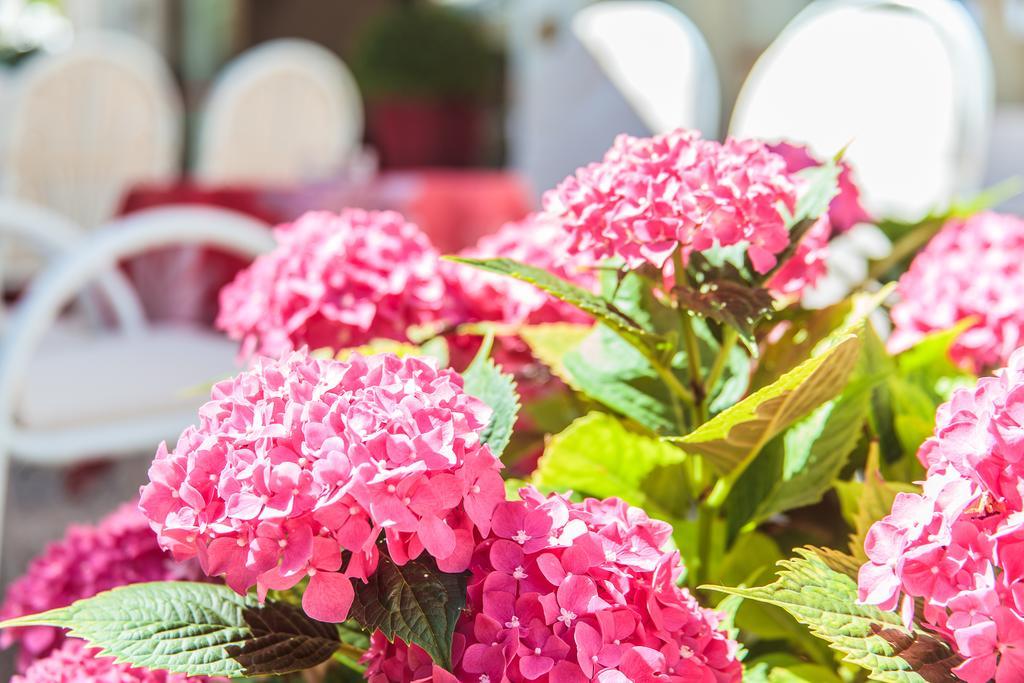 Garden Hotel